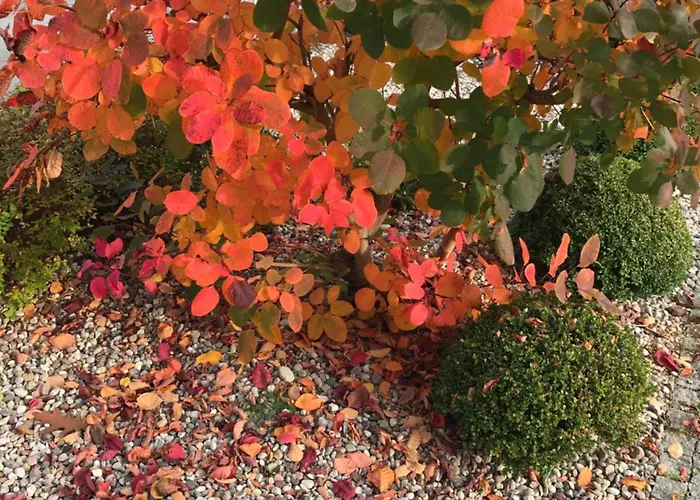 Вилла Dom Nadmorski Pierwoszyno